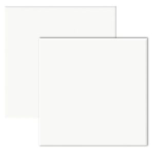 Revestimento Cerâmico Brilhante para Fachada Borda Bold 20x20cm Branco Ceral (Caixa com 1,69m²) Revestimento Cerâmico Brilhante para Fachada Borda Bold 20x20cm Branco Ceral (Caixa com 1,69m²)