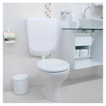 Caixa de Descarga Baixa com Duplo Acionamento Branca Astra