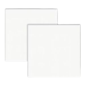 Revestimento Cerâmico Acetinado para Fachada Borda Bold 15x15cm White Ceral (Caixa com 1,00m²) Revestimento Cerâmico Acetinado para Fachada Borda Bold 15x15cm White Ceral (Caixa com 1,00m²)