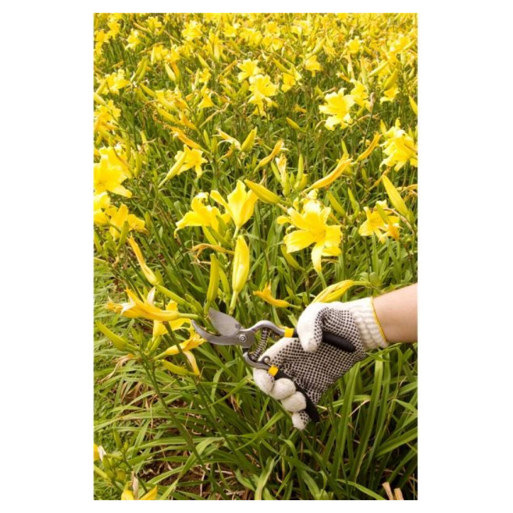 Tesoura para Poda 21,5cm - 8.1/2" Profissional Vonder