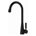 Torneira Misturador Monocomando para Cozinha Preto Fosco Color Conic Perflex