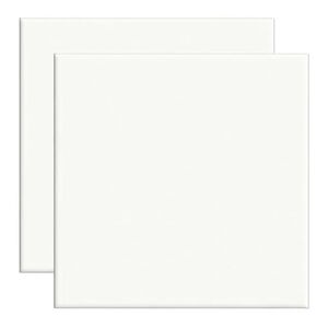 Revestimento Cerâmica Brilhante 15x15cm Branco Ceral (Caixa com 1,00m²) Revestimento Cerâmica Brilhante 15x15cm Branco Ceral (Caixa com 1,00m²)